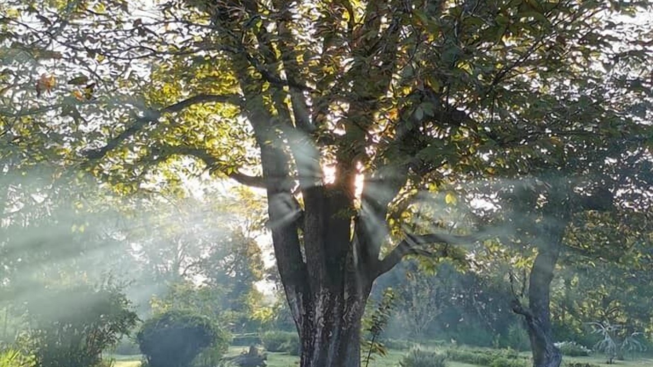 Photo of Outdoor in Zacatlan