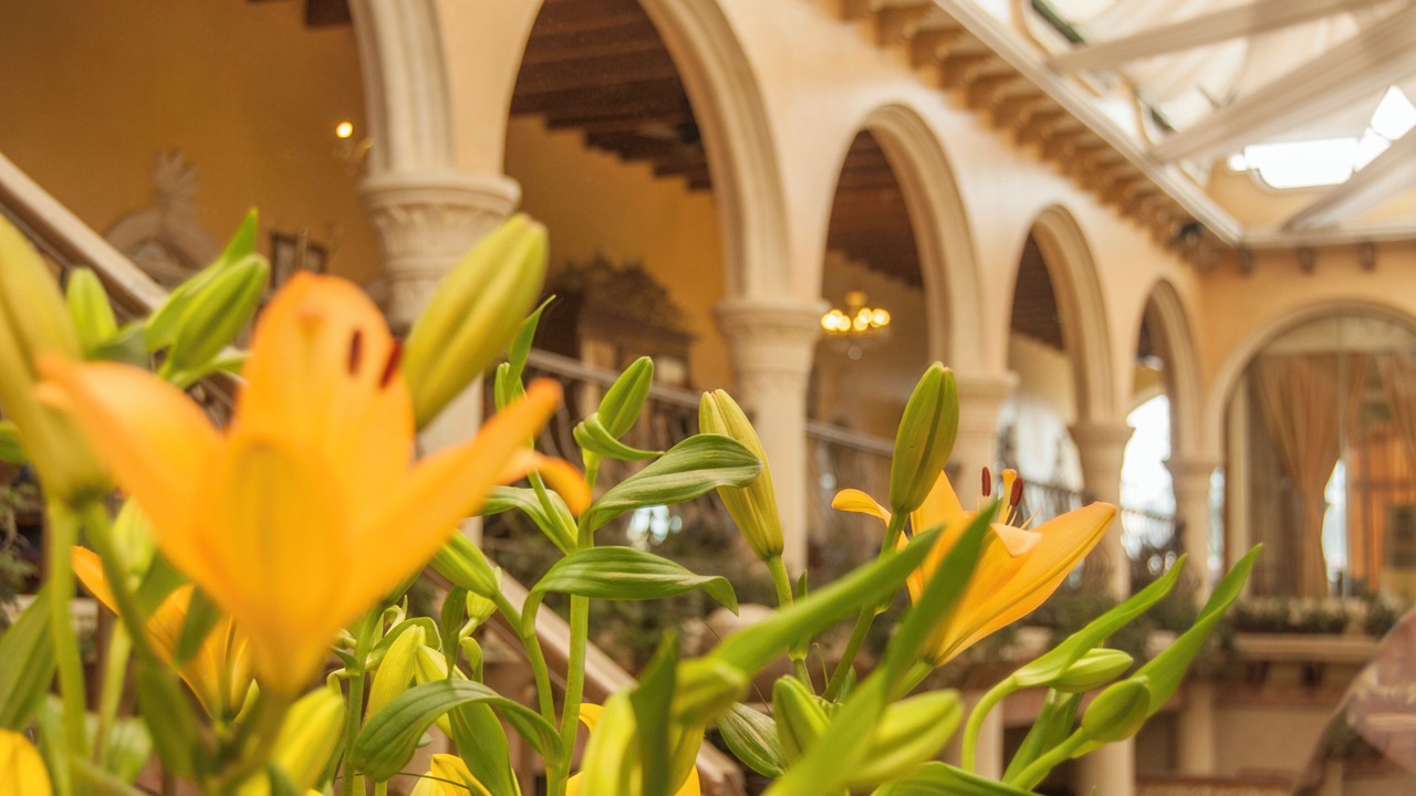 Photo of Patio Balcony in Xalapa