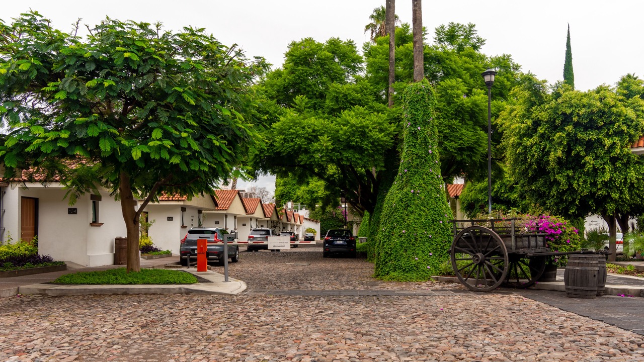 Photo of Others in Downtown Queretaro