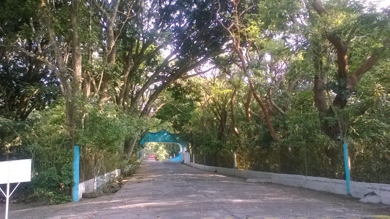 Photo of Outdoor in Catemaco