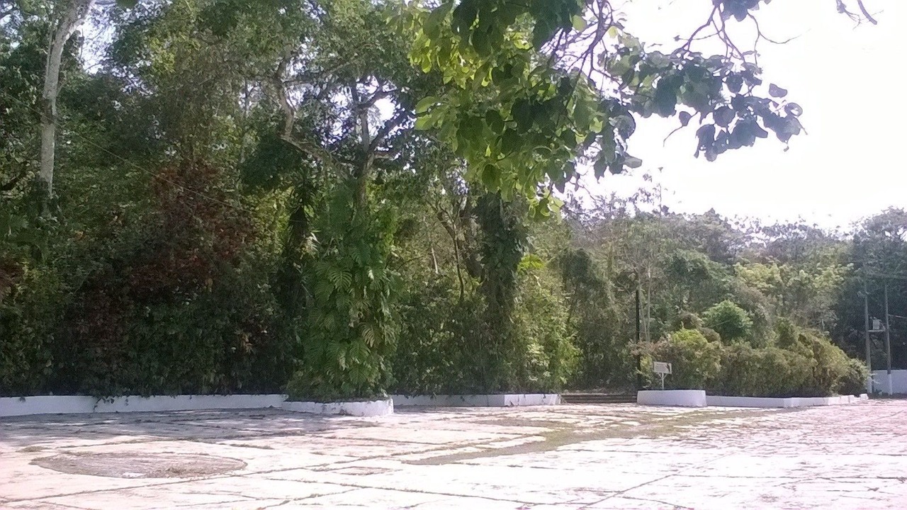 Photo of Outdoor in Catemaco