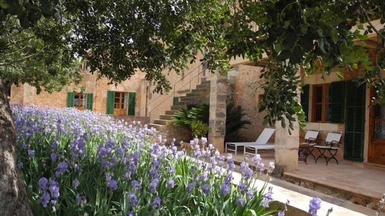 Photo of Outdoor in Campos