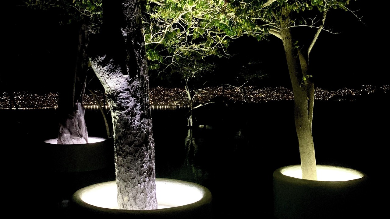 Photo of Outdoor in Brisas del Marques