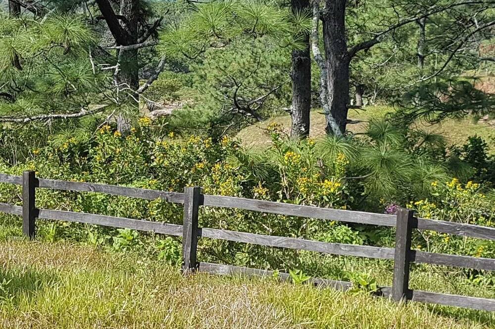 Photo of Outdoor in Mascota