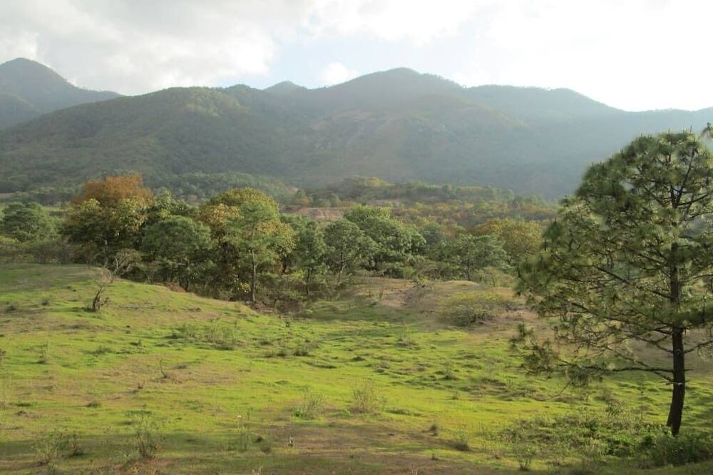 Photo of Outdoor in Mascota
