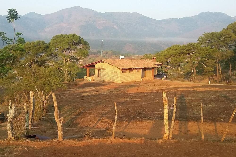 Photo of Others in Mascota