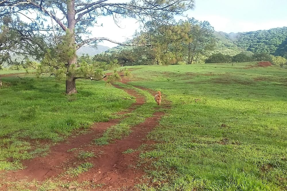 Photo of Outdoor in Mascota