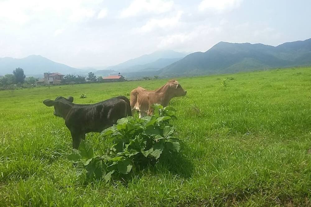 Photo of Outdoor in Mascota