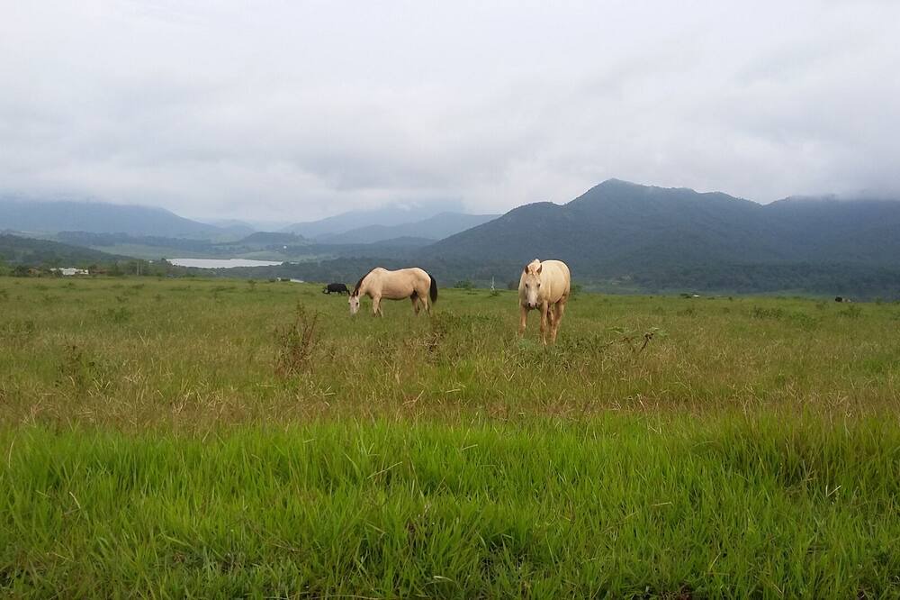 Photo of Outdoor in Mascota