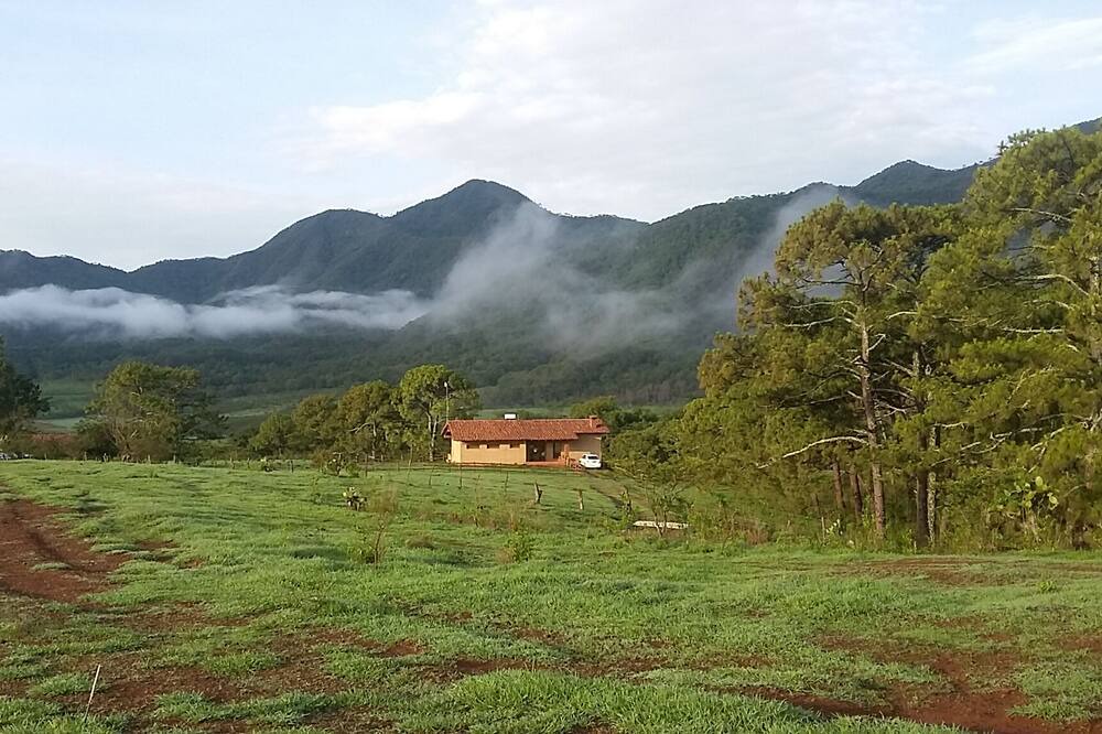 Photo of Outdoor in Mascota