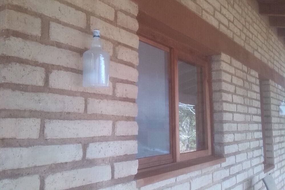 Photo of Outdoor in Mascota