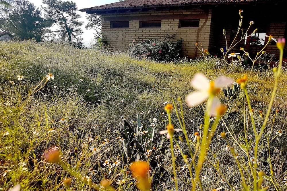 Photo of Outdoor in Mascota