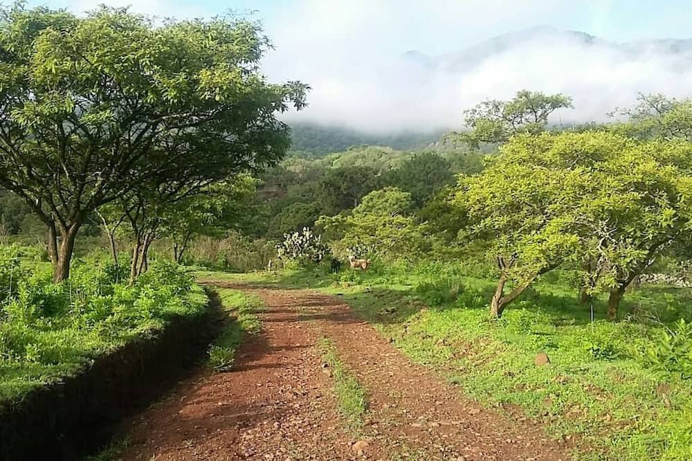 Photo of Outdoor in Mascota