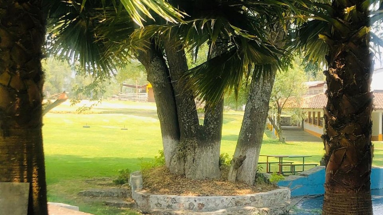 Photo of Outdoor in Ciudad Hidalgo