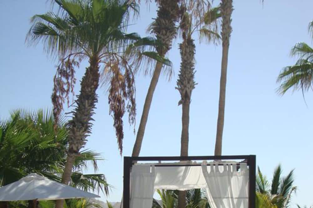 Photo of Outdoor in San Jose del Cabo