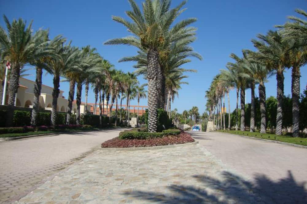 Photo of Outdoor in San Jose del Cabo