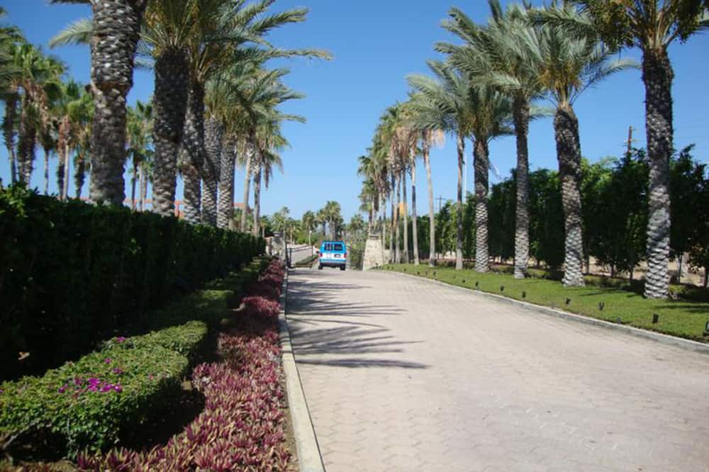 Photo of Outdoor in San Jose del Cabo