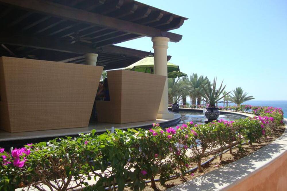 Photo of Others in San Jose del Cabo