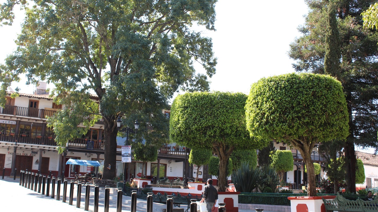 Photo of Others in Mazamitla