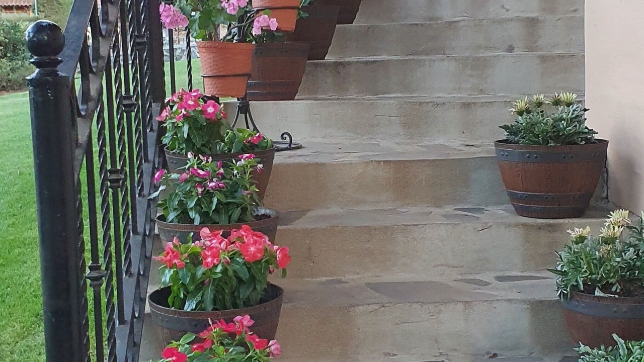Photo of Outdoor in Mazamitla