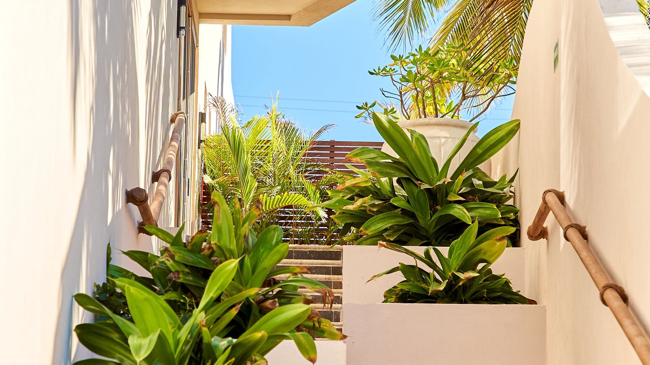 Photo of Outdoor in Punta Negra