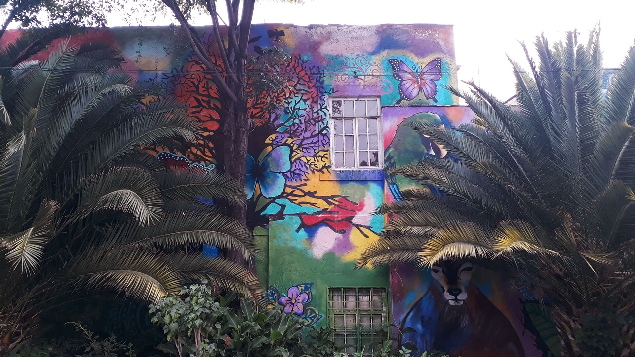 Photo of Others in Downtown Mexico City