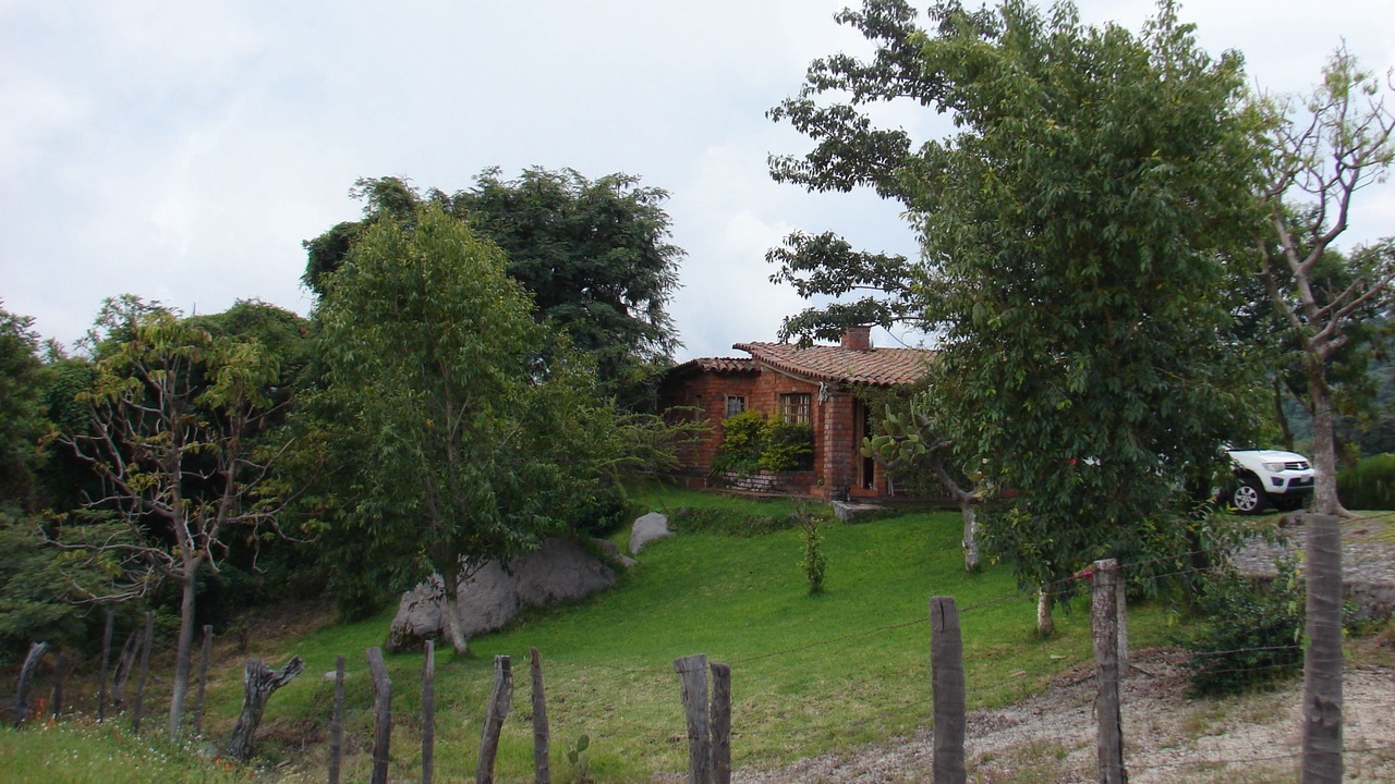 Photo of Outdoor in San Antonio