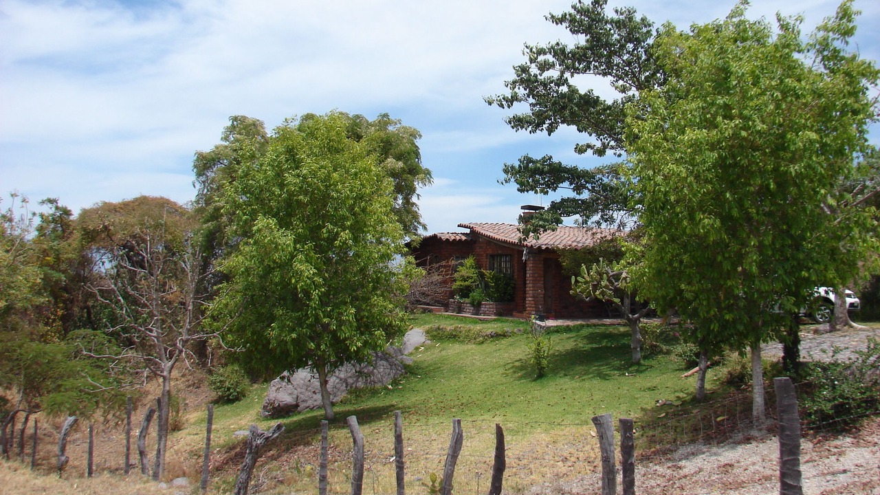 Photo of Outdoor in San Antonio