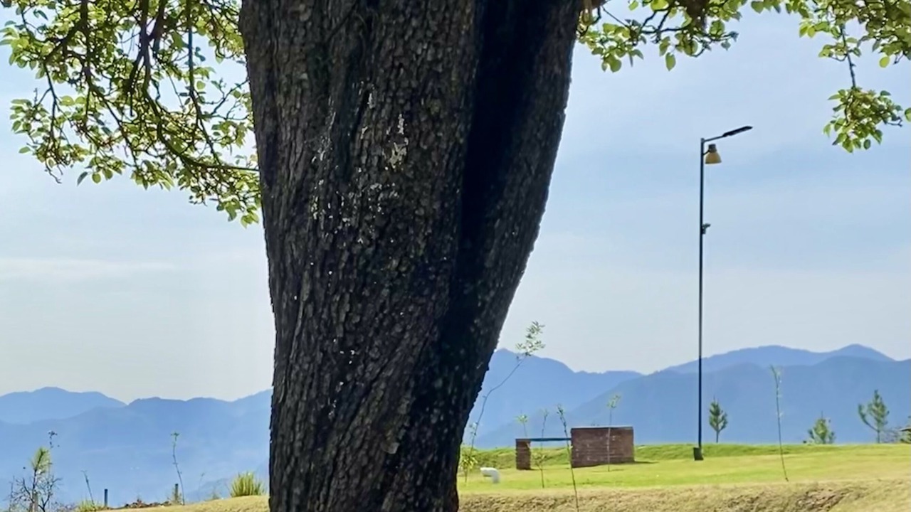 Photo of Outdoor in Zacatlan