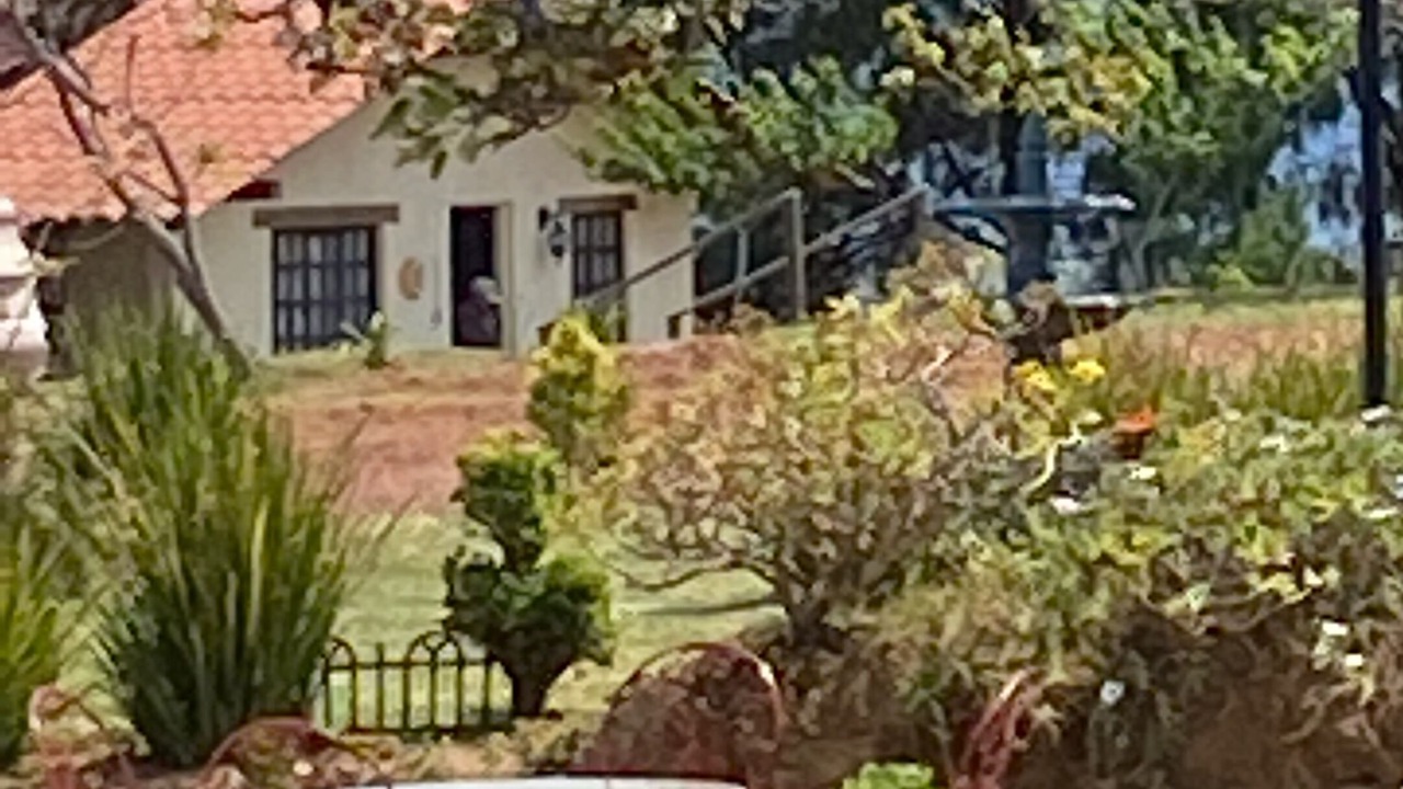 Photo of Livingroom in Zacatlan