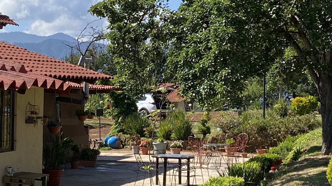 Photo of Others in Zacatlan