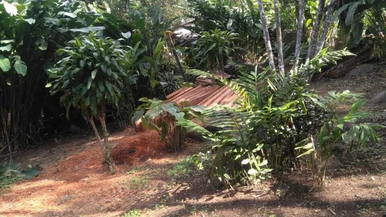 Photo of Outdoor in Catemaco