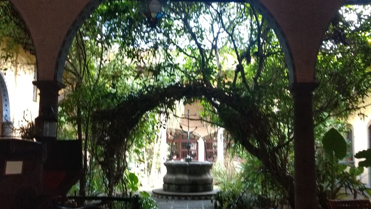Photo of Outdoor in Coatepec