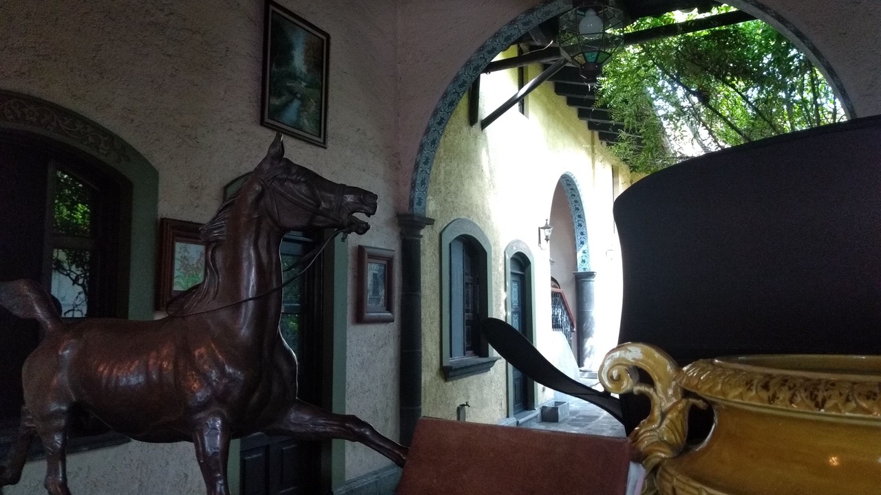 Photo of Others in Coatepec