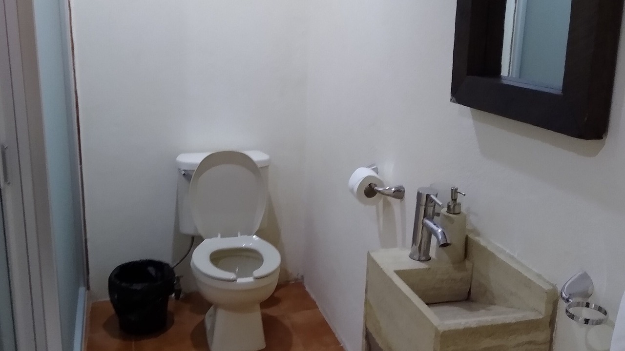 Photo of Bathroom in Arandas