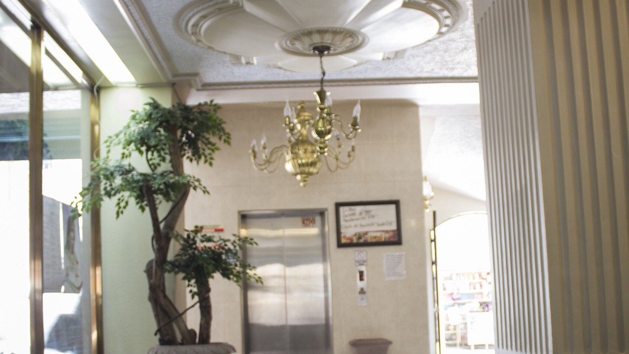 Photo of Others in San Juan de los Lagos