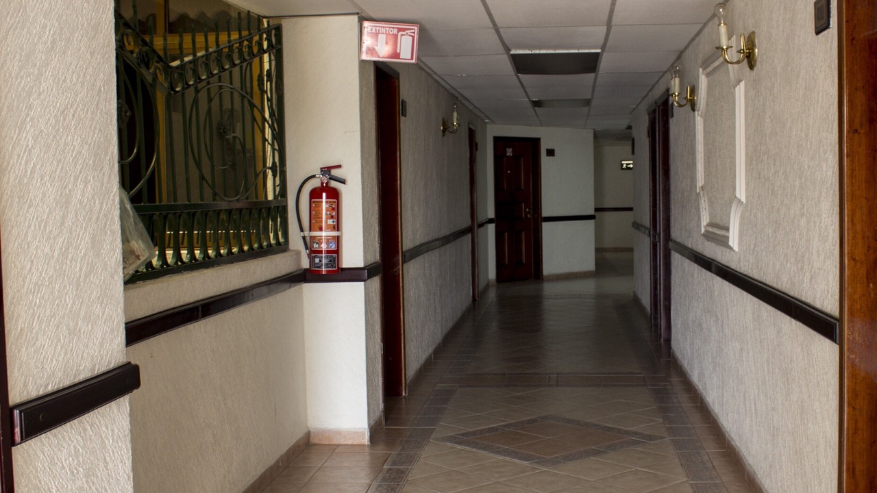 Photo of Others in San Juan de los Lagos