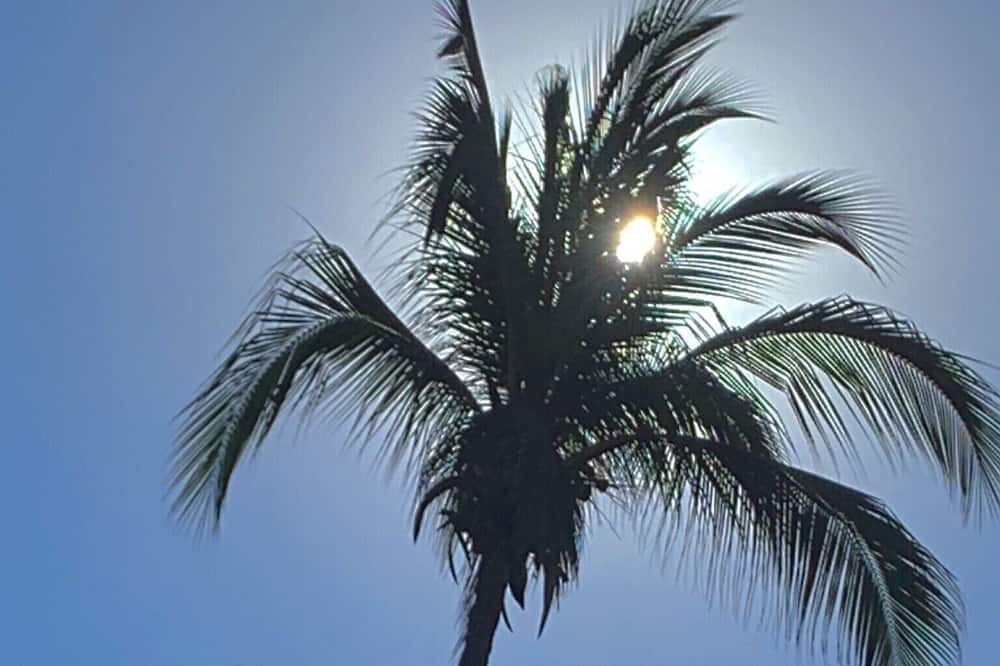 Photo of Outdoor in Manzanillo