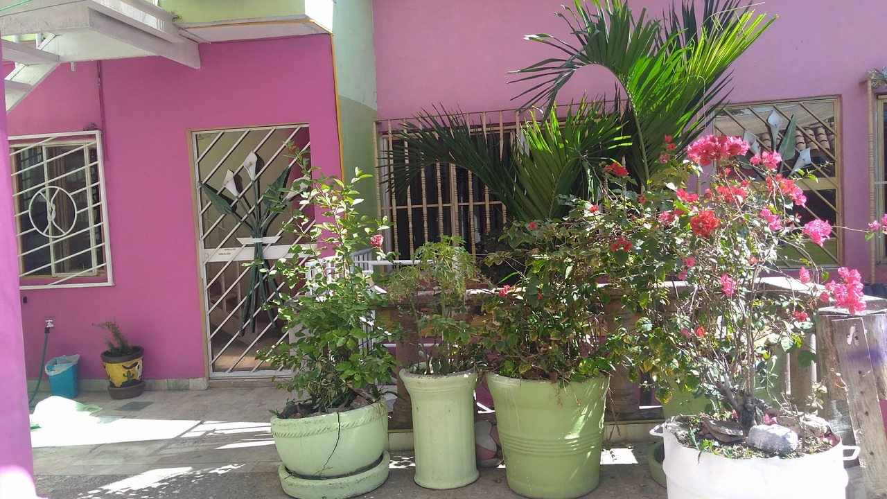 Photo of Outdoor in Jiutepec