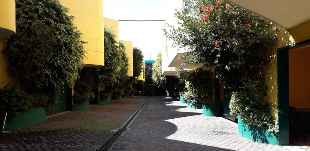 Photo of Outdoor in Metepec
