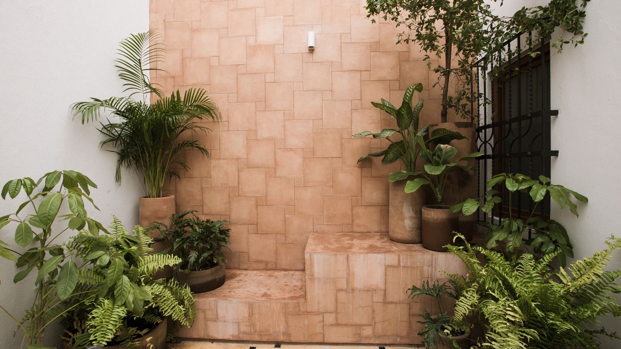 Photo of Outdoor in Americana