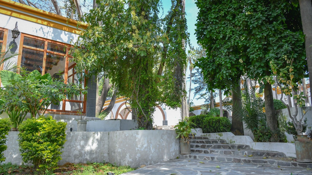 Photo of Outdoor in San Isidro Mazatepec