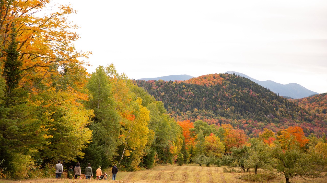 Photo of Outdoor in Lake Placid