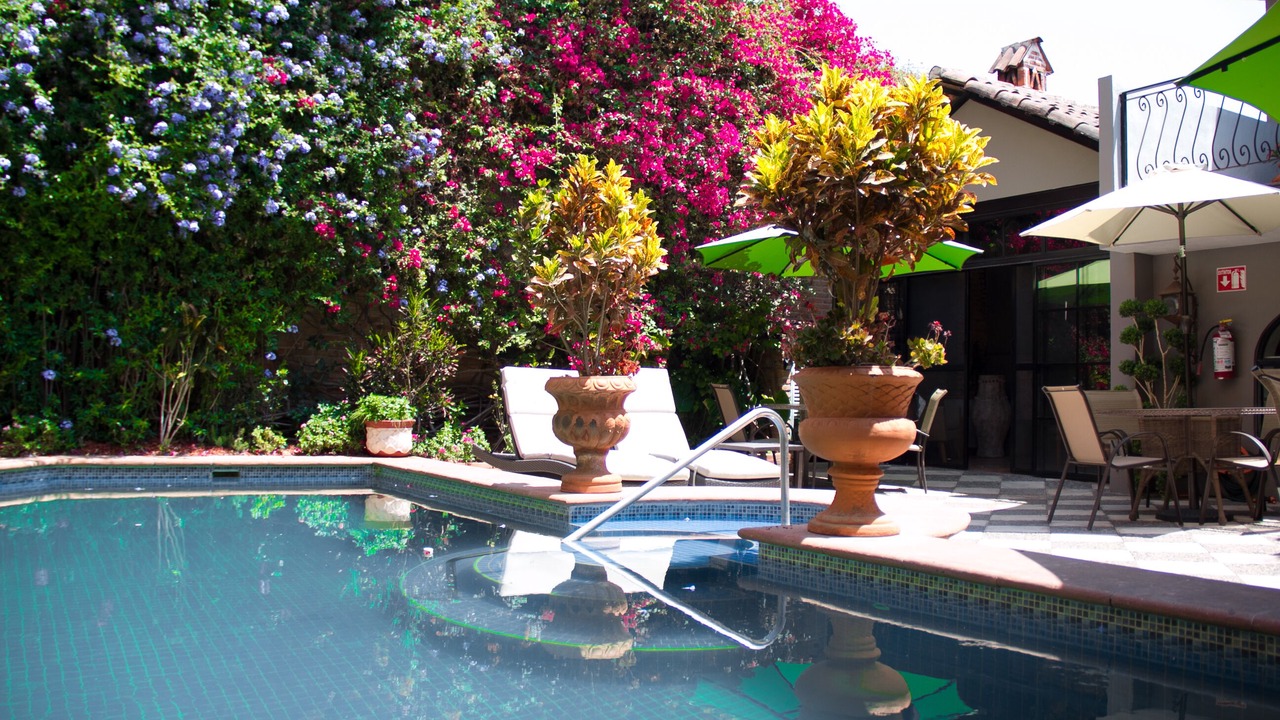 Photo of Outdoor in Ajijic