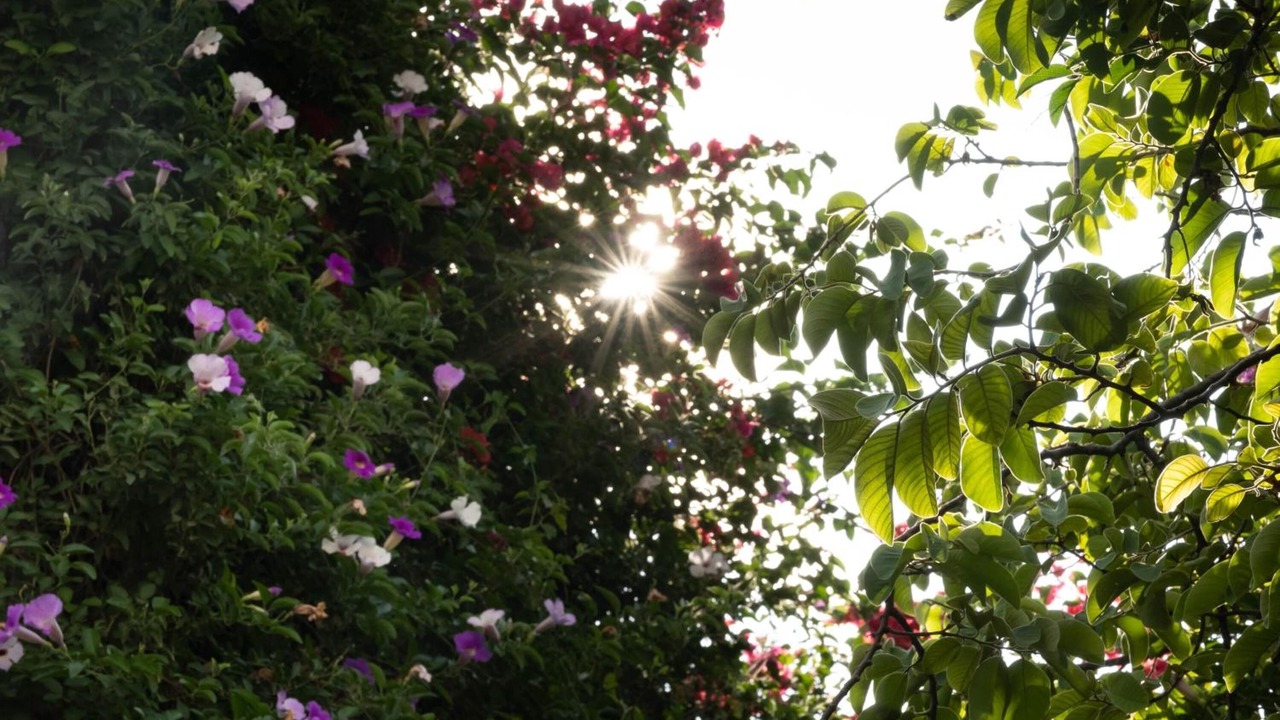 Photo of Outdoor in San Juan del Rio