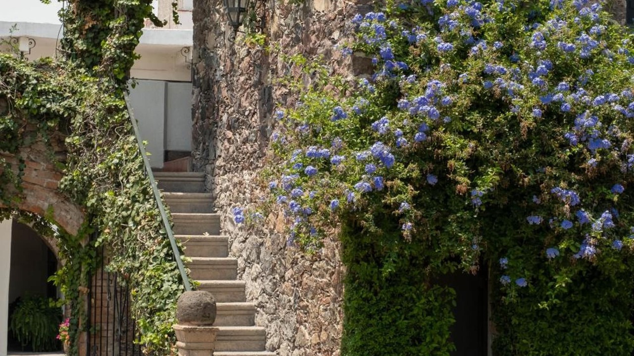 Photo of Outdoor in San Juan del Rio