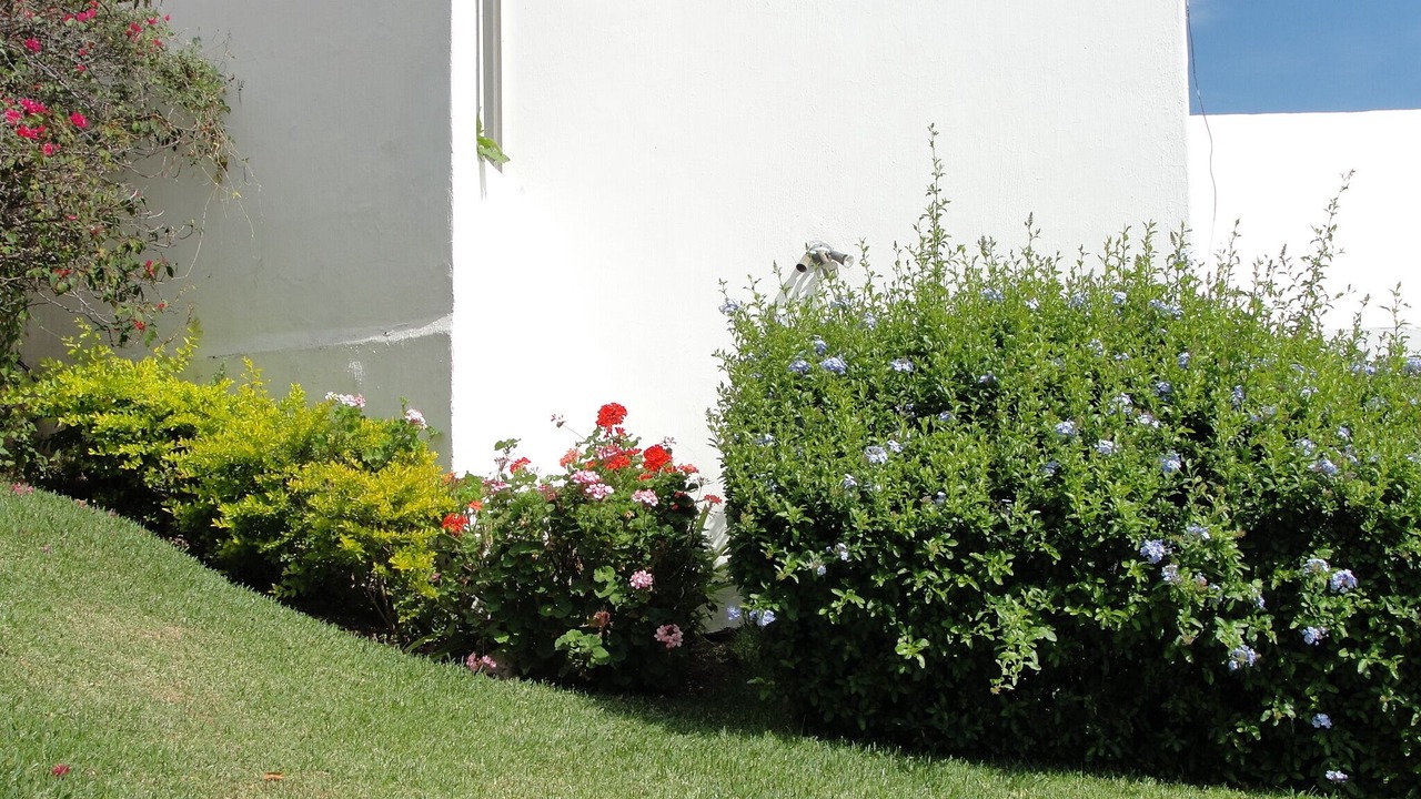 Photo of Outdoor in Raquet Club