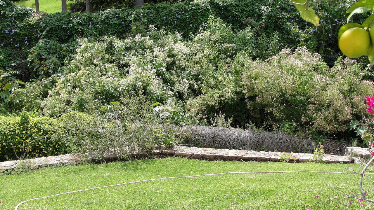 Photo of Outdoor in Raquet Club