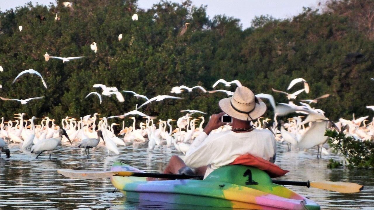 Photo of Others in Barra de Potosi