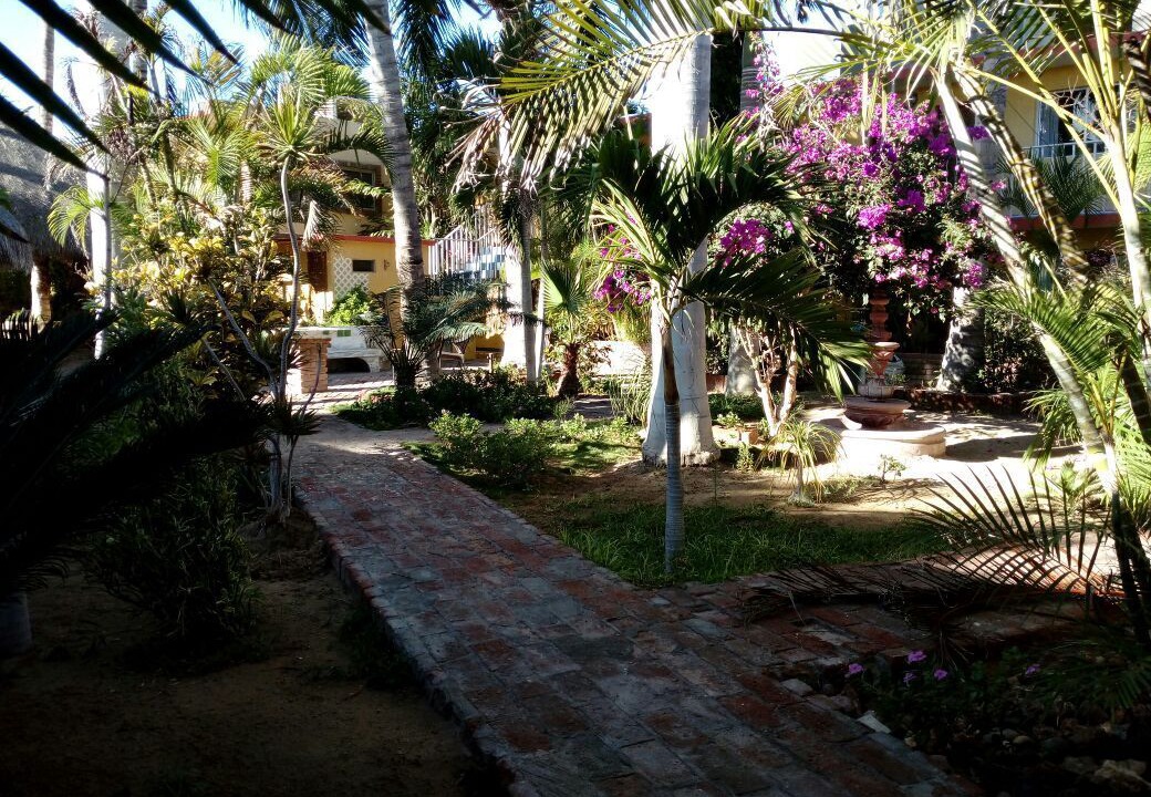 Photo of Outdoor in Puerto San Carlos